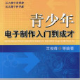 青少年电子製作入门到成才 青少年电子製作入门到成才