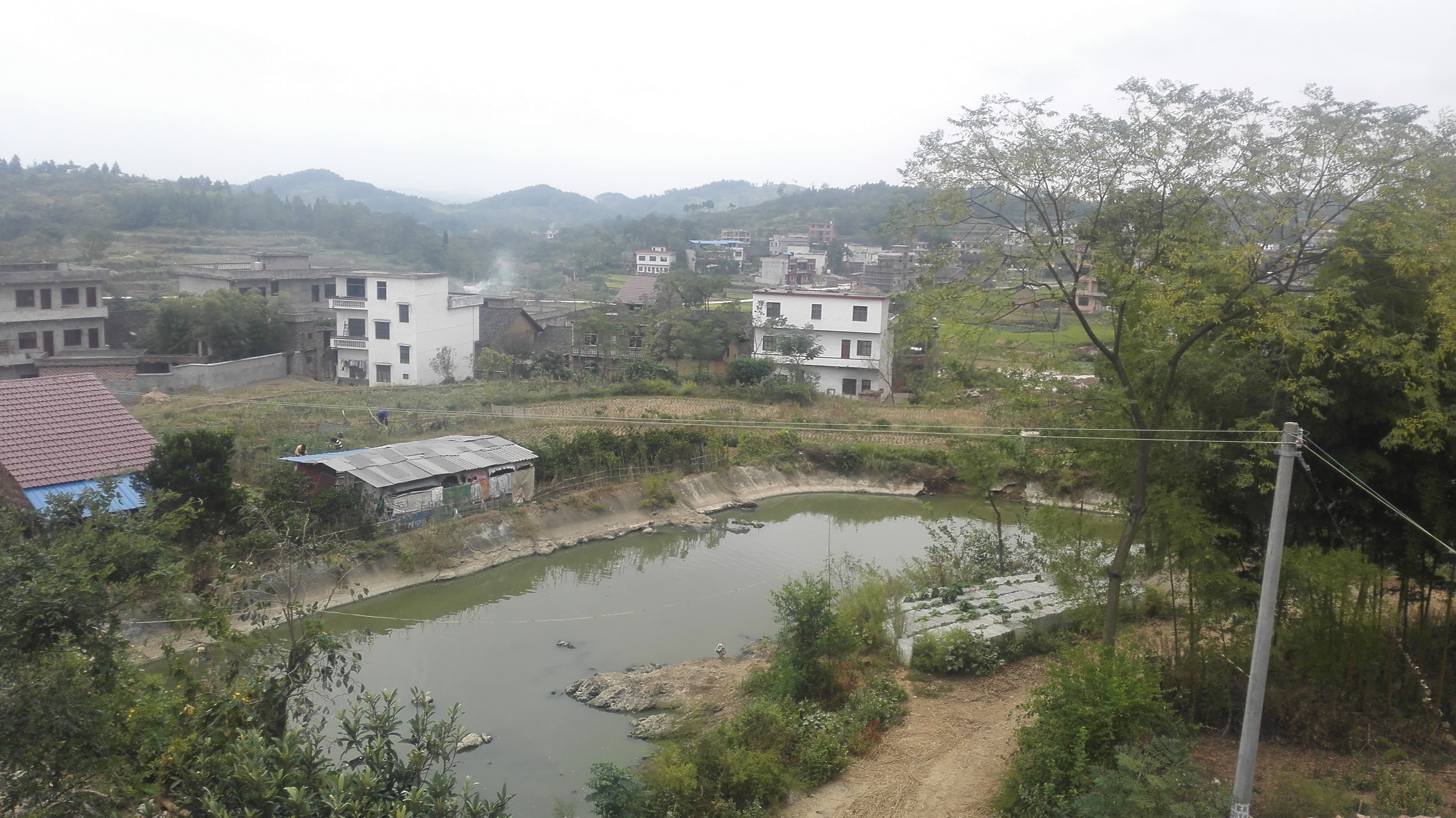 张家村 张家村