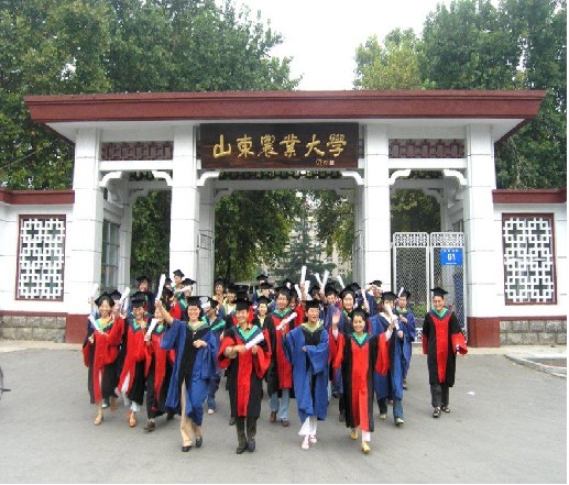 山东农业大学农学院 山东农业大学农学院