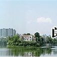 小营街道(浙江省杭州市上城区小营街道) 小营街道(浙江省杭州市上城区小营街道)