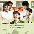 军婚(2013年龚艺群执导电视剧) 军婚(2013年龚艺群执导电视剧)