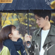 看见味道的你(2019年龚俊、宋伊人主演电视剧) 看见味道的你(2019年龚俊、宋伊人主演电视剧)
