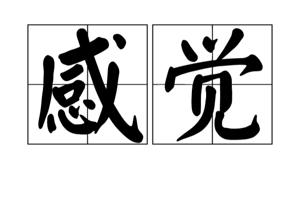 感受(汉语词语) 感受(汉语词语)