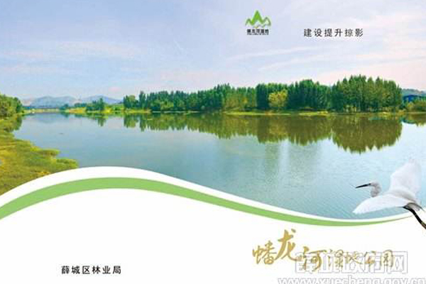 蟠龙河(山东枣庄同名河流) 蟠龙河(山东枣庄同名河流)