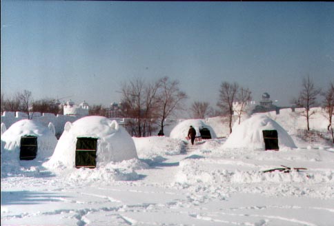 雪屋(建筑种类) 雪屋(建筑种类)