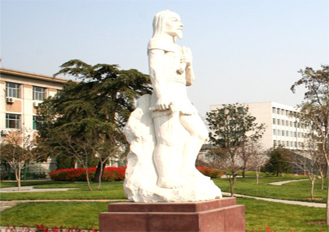 山东农业大学农学院 山东农业大学农学院