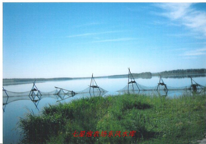 七星泡 七星泡