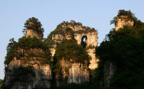 油杉河风景区