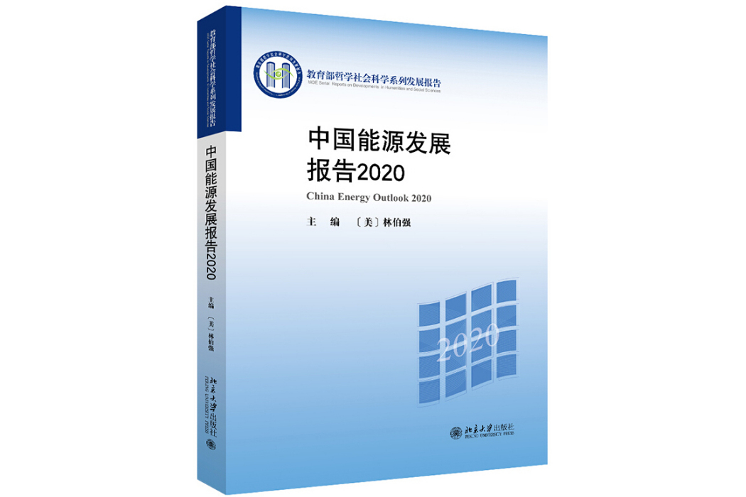 中国能源发展报告2020 中国能源发展报告2020