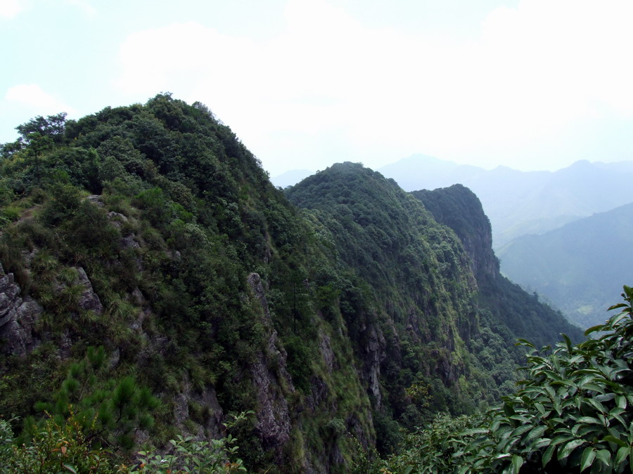 森林公园 森林公园