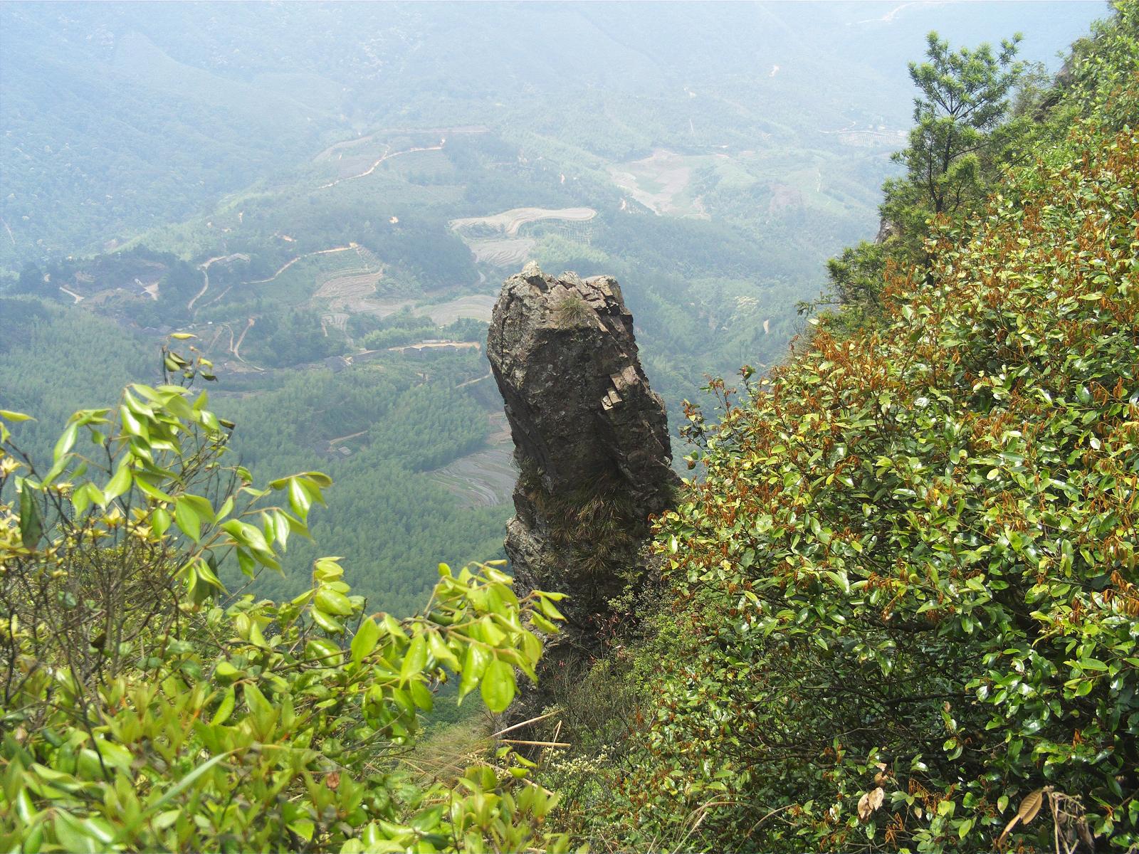 倒排岩 倒排岩
