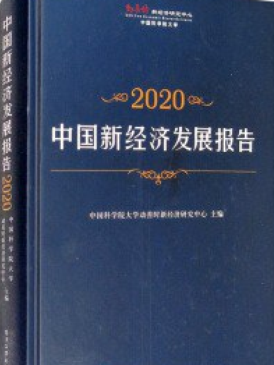 中国新经济发展报告2020 中国新经济发展报告2020
