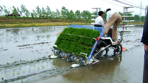 日本水稻插秧机 日本水稻插秧机