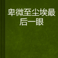 卑微至尘埃最后一眼