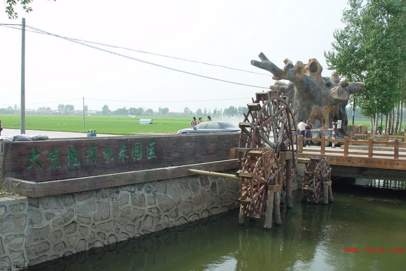 大荒地米业园区 大荒地米业园区