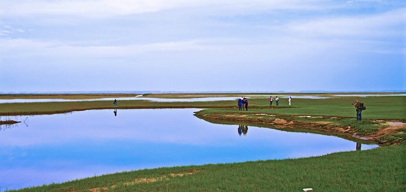 青山岛