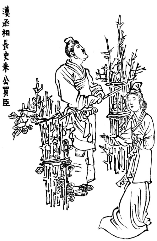 庄家石 庄家石