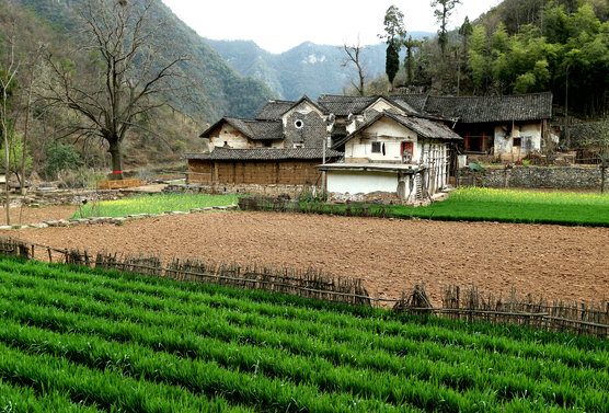 巡检镇(襄阳市南漳县行政区域) 巡检镇(襄阳市南漳县行政区域)