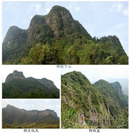 倒排岩 倒排岩