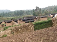 向阳庄家村 向阳庄家村