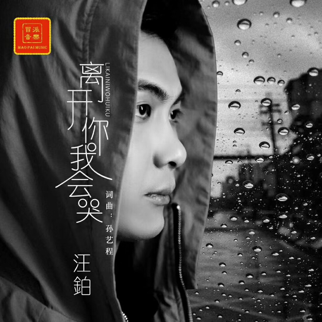离开你我会哭 离开你我会哭