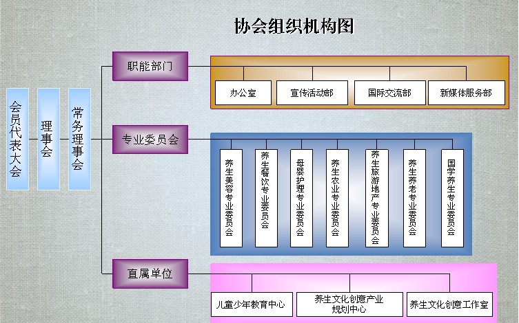 组织机构图 组织机构图