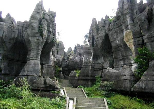 元古奇石林风景区 元古奇石林风景区