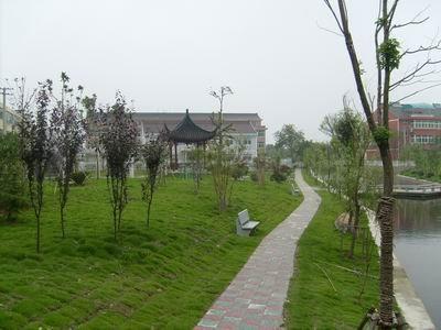 庄家村 庄家村