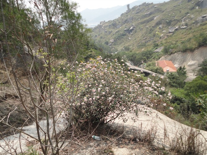 潮州白云岩风景区 潮州白云岩风景区