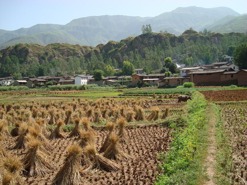 白泥村田园山村 白泥村田园山村