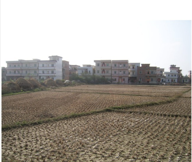 平安村(四川省仁寿县向家镇平安村) 平安村(四川省仁寿县向家镇平安村)
