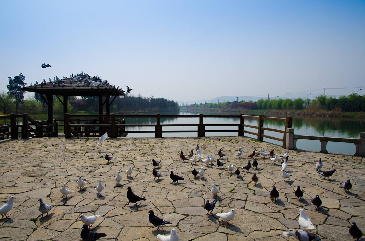 太湖湖滨国家湿地公园 太湖湖滨国家湿地公园
