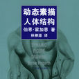 动态素描·人体结构 动态素描·人体结构