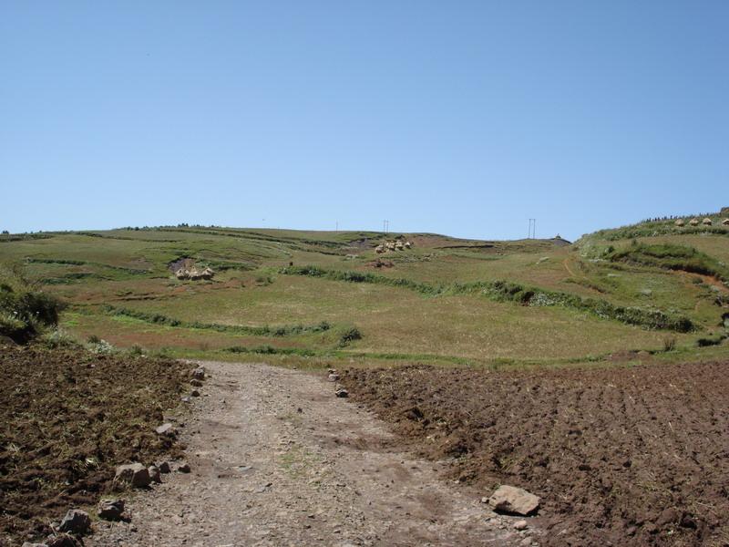 进村道路 进村道路