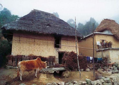 班竹山村 班竹山村