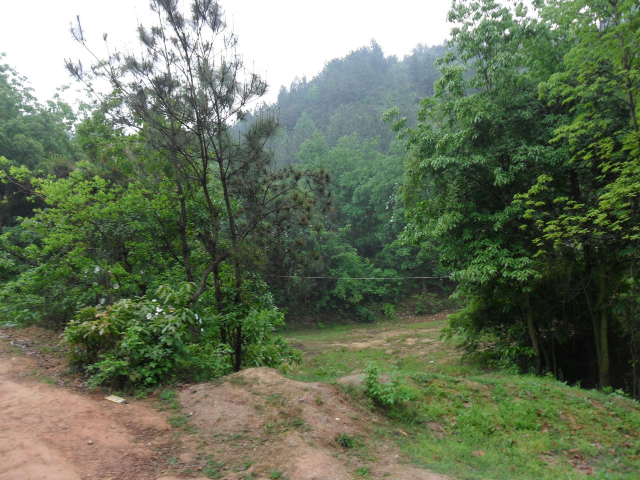 杨仙岭 杨仙岭