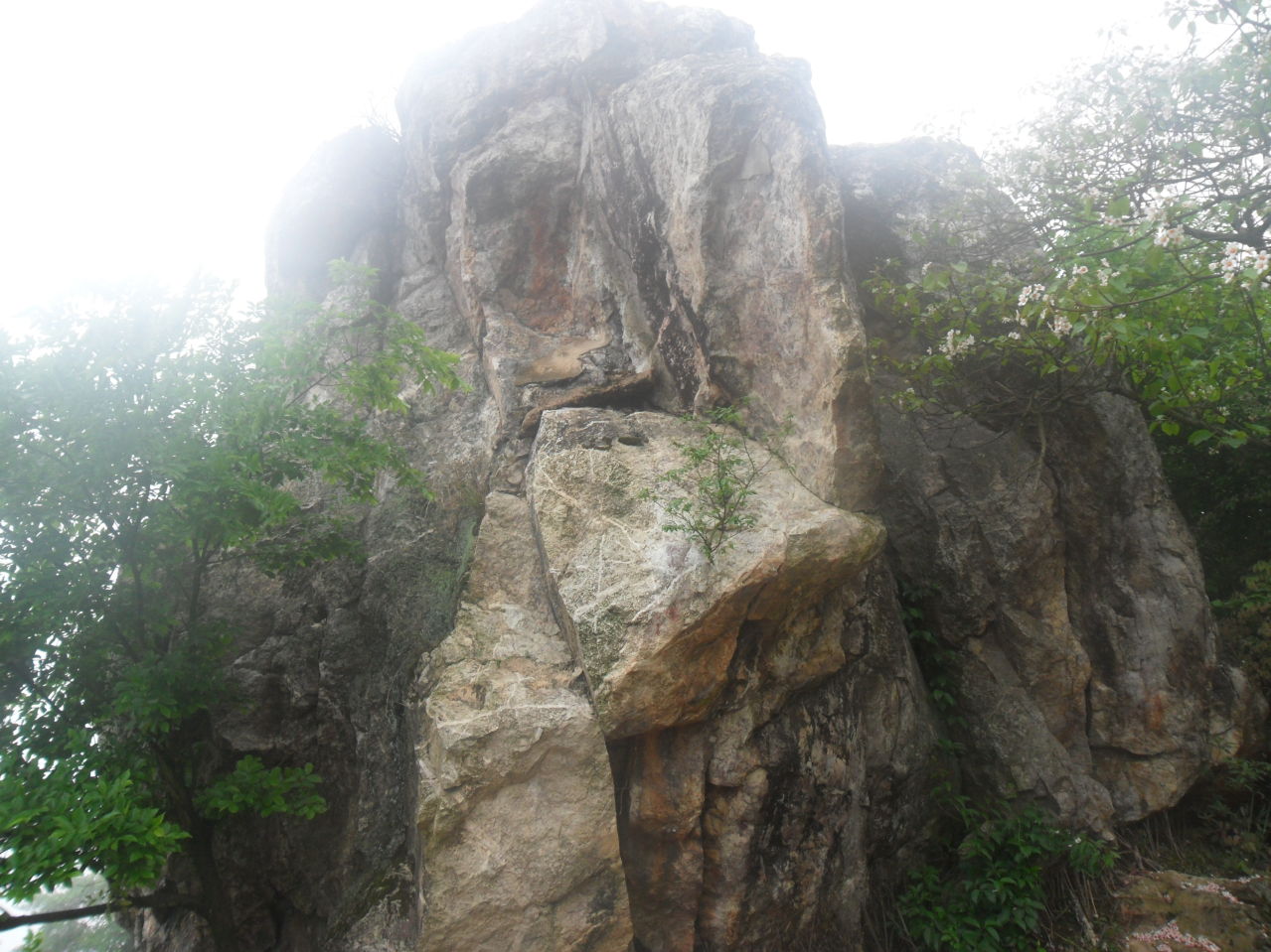 杨仙岭 杨仙岭