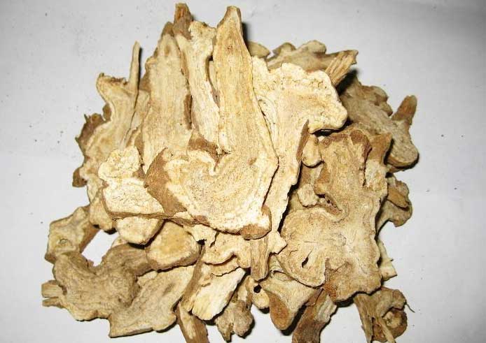 生白朮 生白朮