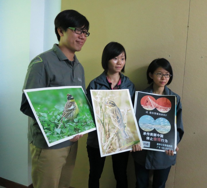 香港观鸟会 香港观鸟会