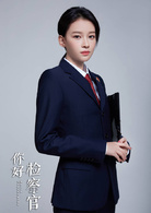 你好检察官(2019年崔亮执导电视剧)