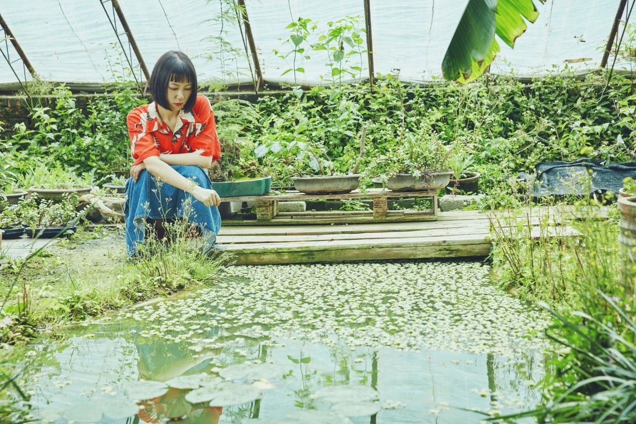 点心 点心