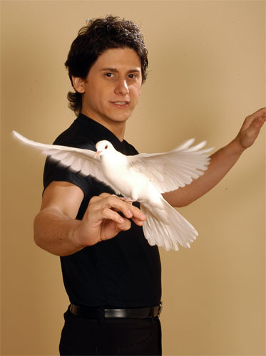 Mirko Mirko