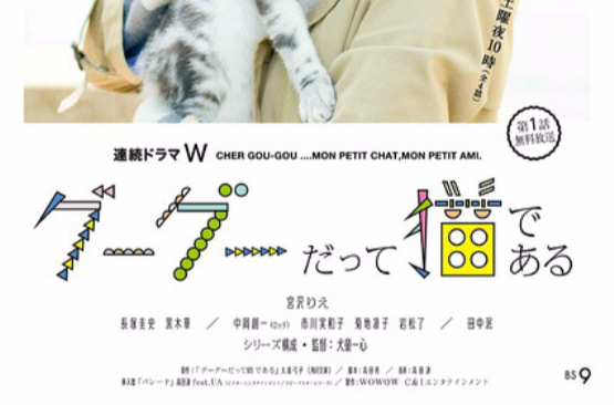 咕咕是一只猫(2014年宫泽理惠主演的日剧)