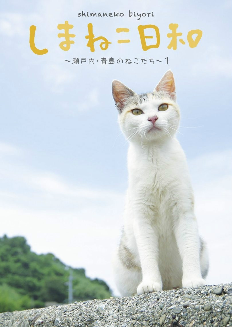 青岛(爱媛县大洲市所辖岛屿)