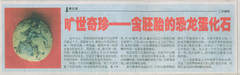 恐龙蛋化石博物馆 恐龙蛋化石博物馆