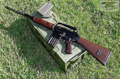 AR-10(军事武器枪械)