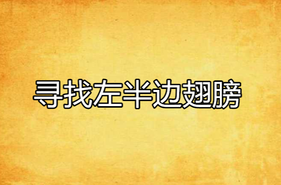 寻找左半边翅膀