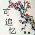 可追忆