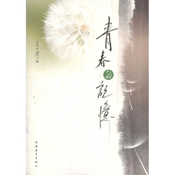 青春的记忆