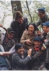 贩母案考